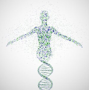 a dna double helix transitions into a human figure