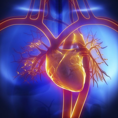 A Promising Therapeutic Target for Heart Failure | Biomedical Odyssey