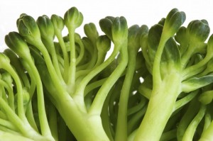 Close-up photo of broccoli sprouts. 