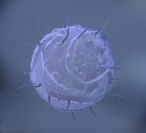 A microscopic image showing a white blood cell