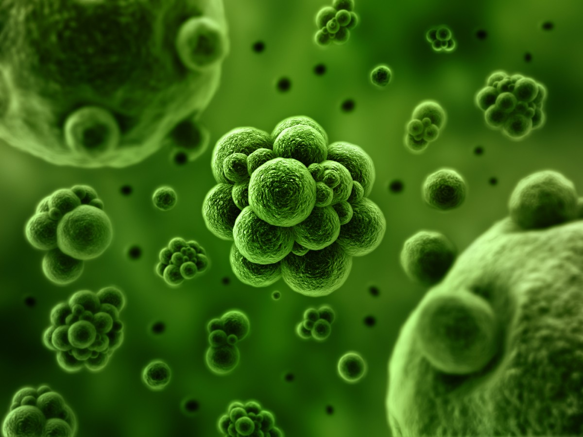 Scientifically Defining Life | Biomedical Odyssey