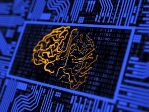 brain image on a computer digital screen