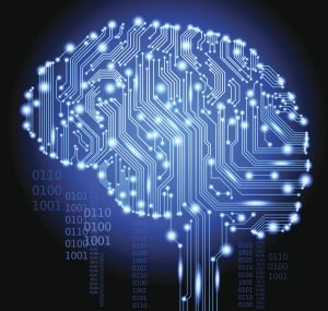 the circuits of the brain illustration