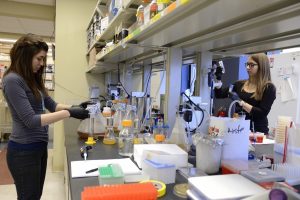 two girls working in the lab