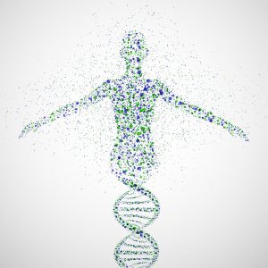 a dna double helix fades into a human shape