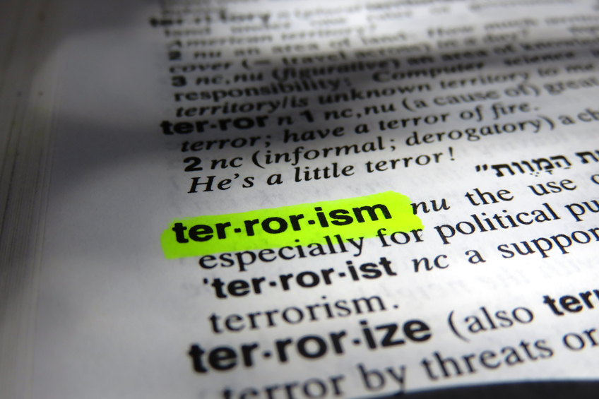 terrorism highlighted in a dictionary