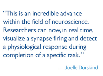 This is an incredible advance within the field of neuroscience. Researchers can now, in real time, visualize a synapse firing and detect a physiological response during completion of a specific task. 