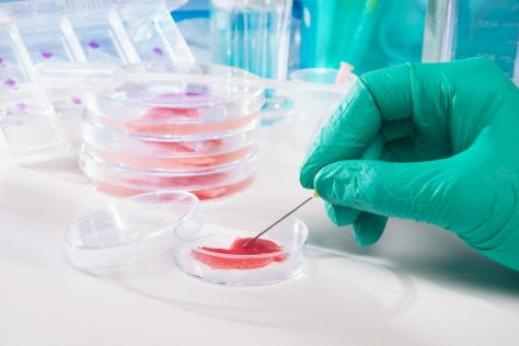 lab grown meat
