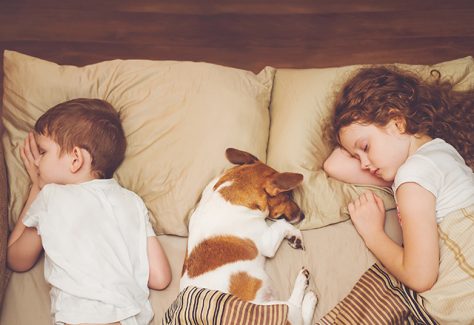 kids dog sleep iStock 842912340 1