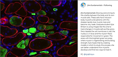 View Briston's post on our new basic science Instagram account.
