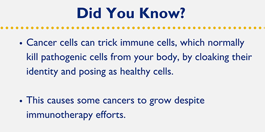 Cancer cells can trick immune cells, which normally kill pathogenic cells from your body, by cloaking their identity and posing as healthy cells. This causes some cancers to grow despite immunotherapy efforts.