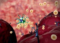 The Link Between Metabolism and Anti-Tumor Immunity: Implications for Glioma Therapy