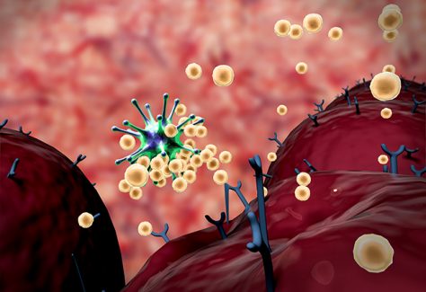 A 3D illustration of virus and antibodies.