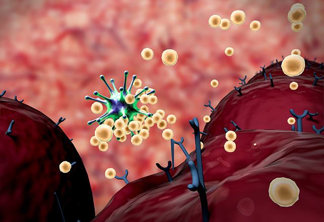 A 3D illustration of virus and antibodies.