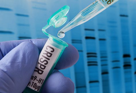 Hand holding vial doing CRISPR genomic research.