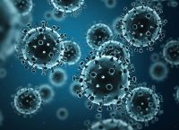 The Interplay of Hormones and Infectious Diseases: How Our Sex Can Impact Our Risk of Getting the Flu