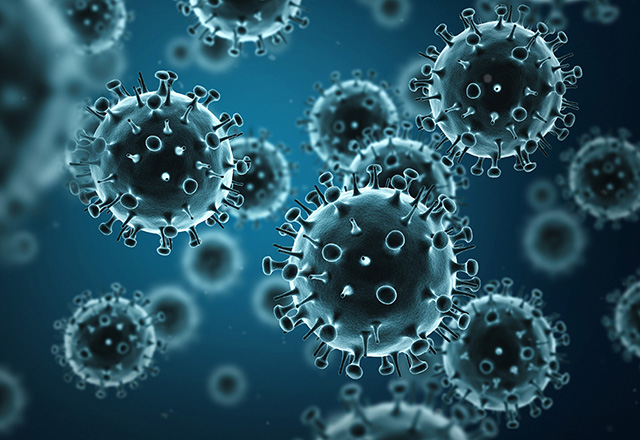 Illustration of Influenza Virus.