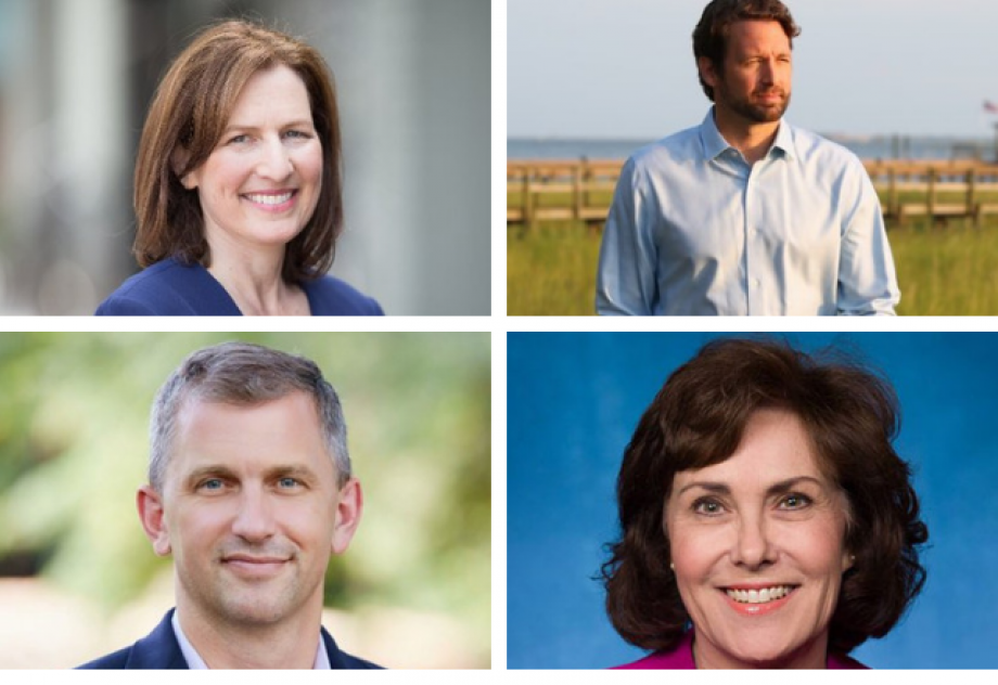 stem winners of midterm elections