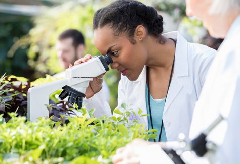 female scientist looking at a plant