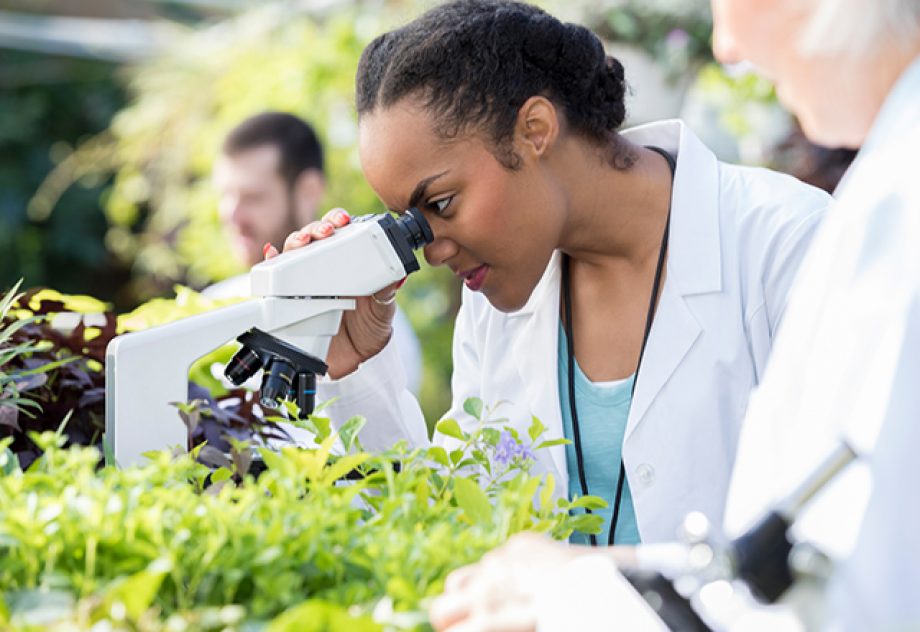 female scientist looking at a plant