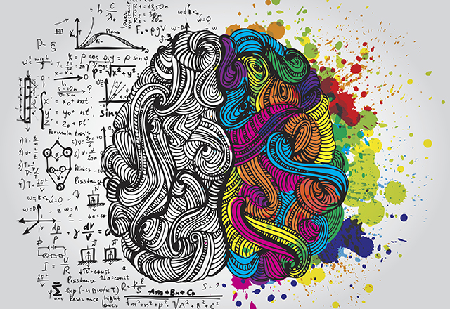 Left- vs. Right-Brained: Why the Brain Laterality Myth Persists |  Biomedical Odyssey