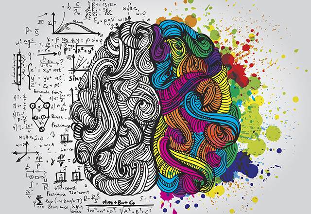 Left- vs. Right-Brained: Why the Brain Laterality Myth Persists ...