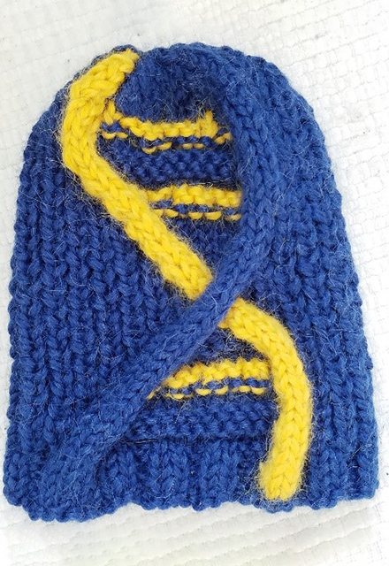 A hat knit with DNA strands.