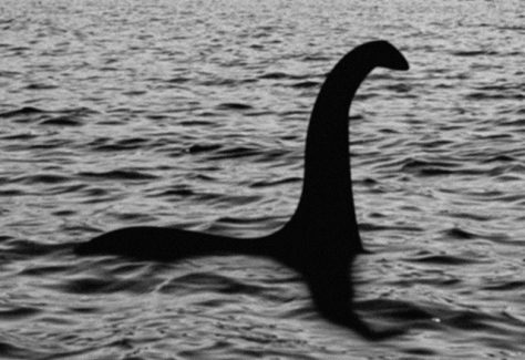 A silhouette of the Loch Ness monster emerging from the water.