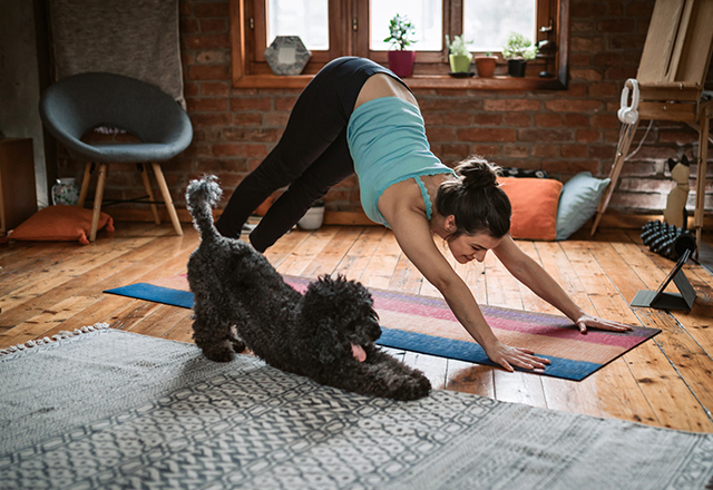 Young woman practicing downward facing dog pose playing with her pet in the living room.