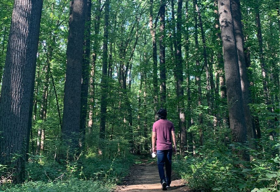 Howard walks alone on a path through a forest.