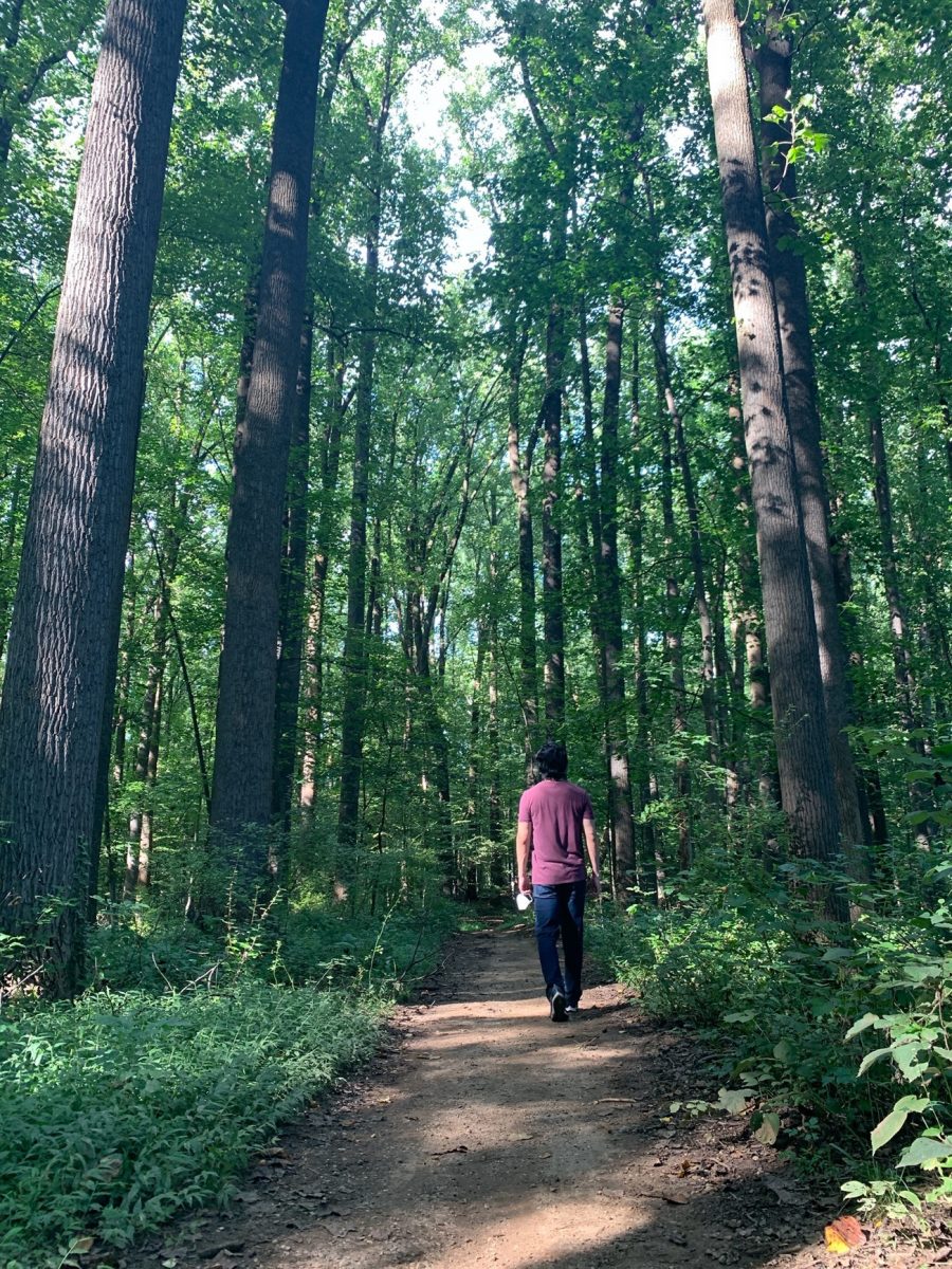 Howard walks alone on a path through a forest.
