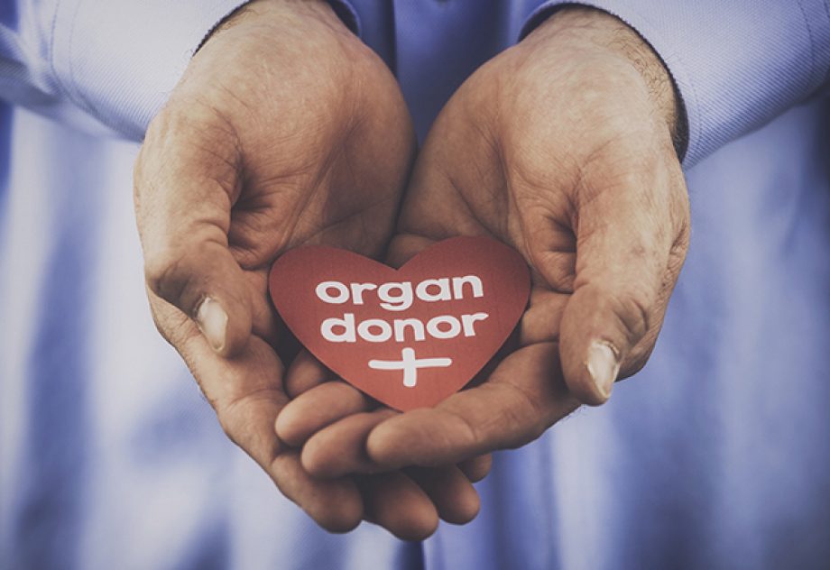 Male hands holding heart with a message that reads: Organ donor.