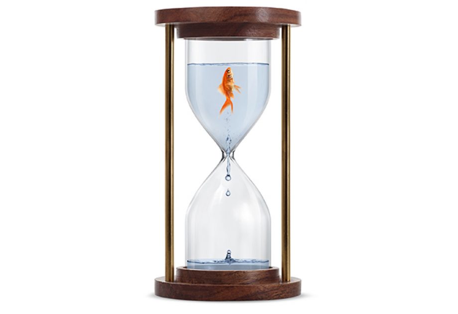 Goldfish trapped in hourglass. Isolated on white background.