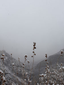 Weathering out a snowstorm in Lincoln National Forest 2