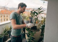 Young man taking care of his plants on the balcony of loft apartment