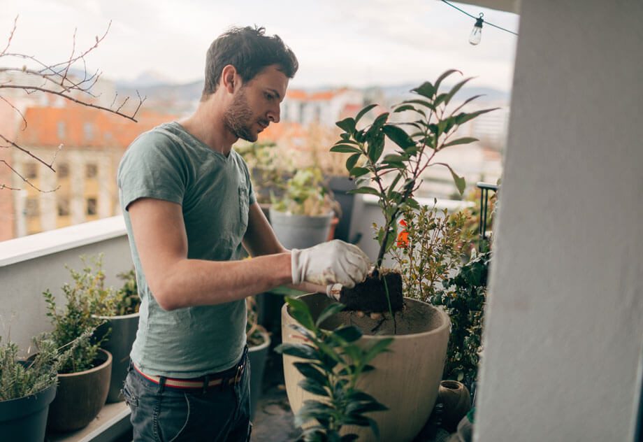 Young man taking care of his plants on the balcony of loft apartment