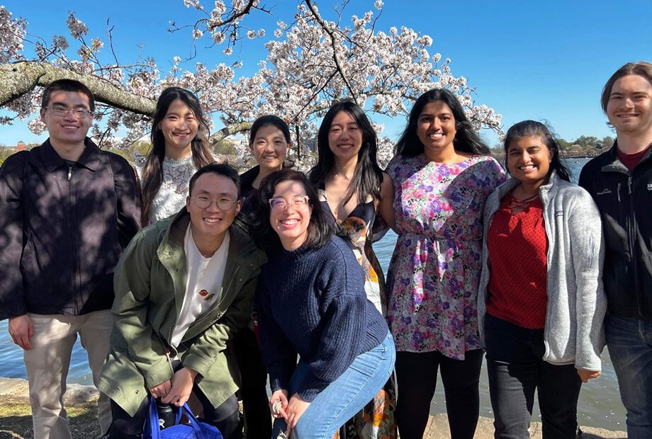 JHU medical students enjoying the spring weather and cherry blossoms at the Tidal Basin.