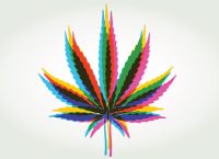 Colourful silhouettes of Cannabis or Marijuana Leaves