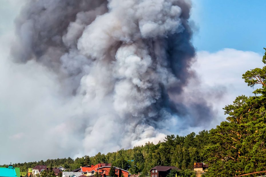 Large forest fire near the village