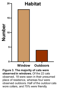 Figure 3. The majority of cats were observed in windows. Of the 22 cats observed, 18 were seen in their presumed place of residence, whereas four were observed outdoors. Half of the outdoor cats wore collars, and 75% were friendly. 