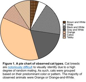 Figure 1. A pie chart of observed cat types. Cat breeds are notoriously difficult to visually identify due to a high degree of random mating. As such, cats were grouped based on their predominant color or pattern. The majority of observed animals were Orange or Orange-and-White.