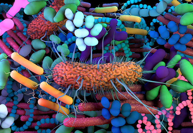 The human Microbiome, genetic material of all the microbes that live on and inside the human body.