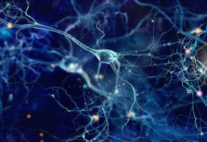 https://www.hopkinsmedicine.org/-/media/radiology/_docs/requisition-form-wm-gss.pdf