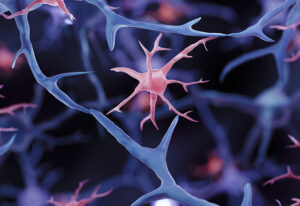 Glial cell, Microglia illustration