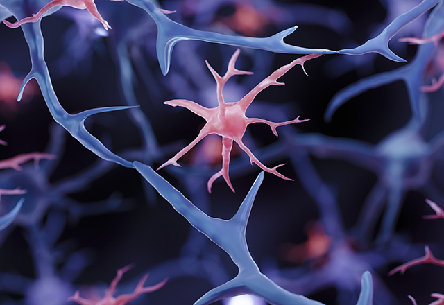 Glial cell, Microglia illustration