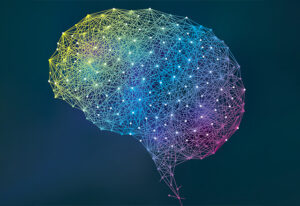 brain network